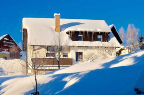 Apartments in Harrachov/Riesengebirge 2300